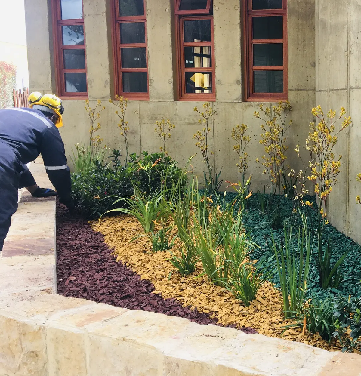 Instalación de jardín ornamental realizada por Grupo Bioingenia