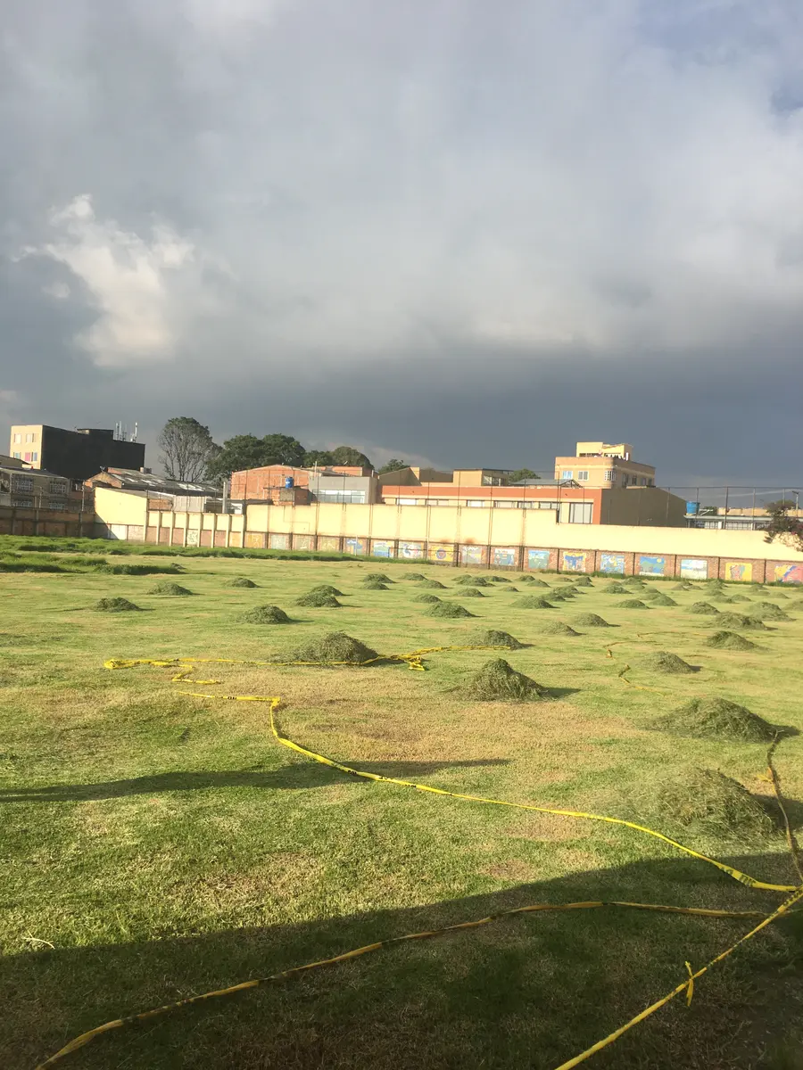 Zona verde recién cortada con material agrupado para su manejo
