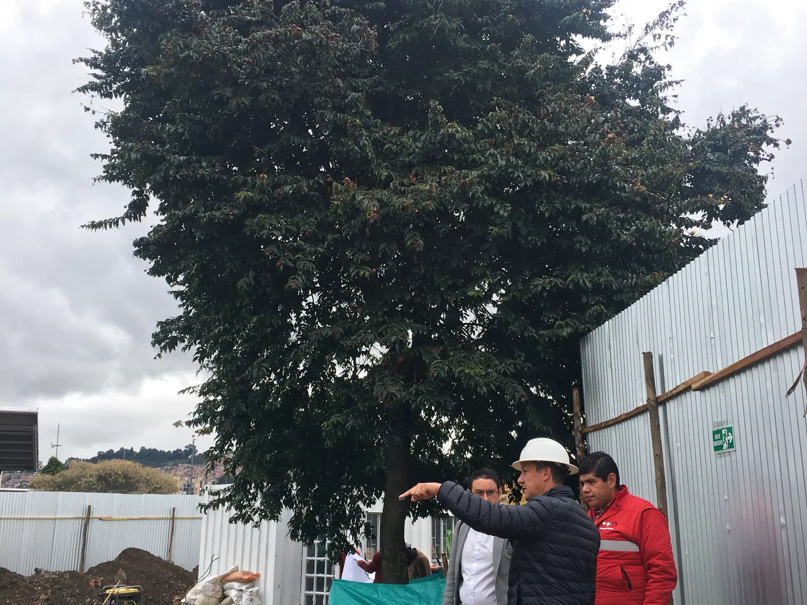 Equipo técnico evaluando arbolado en un proyecto de construcción