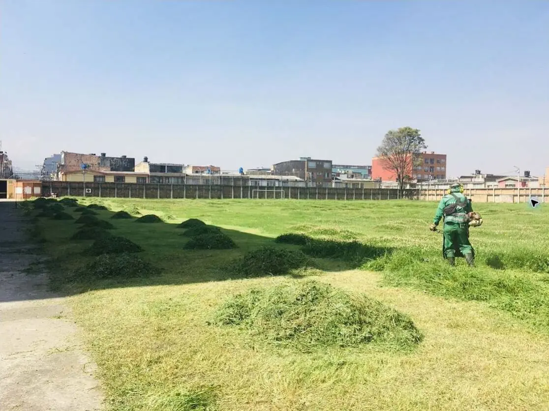 Operario realizando corte de césped en una superficie extensa