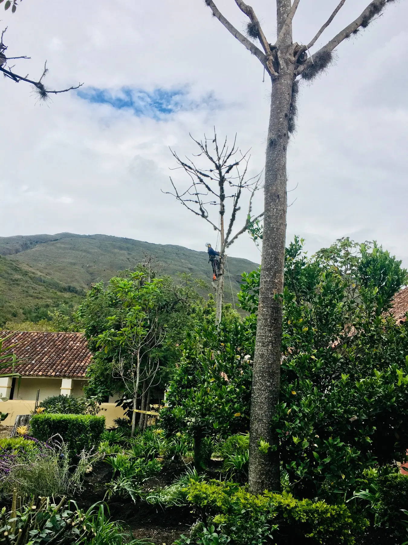 Operario de Grupo Bioingenia realizando poda en un entorno rural