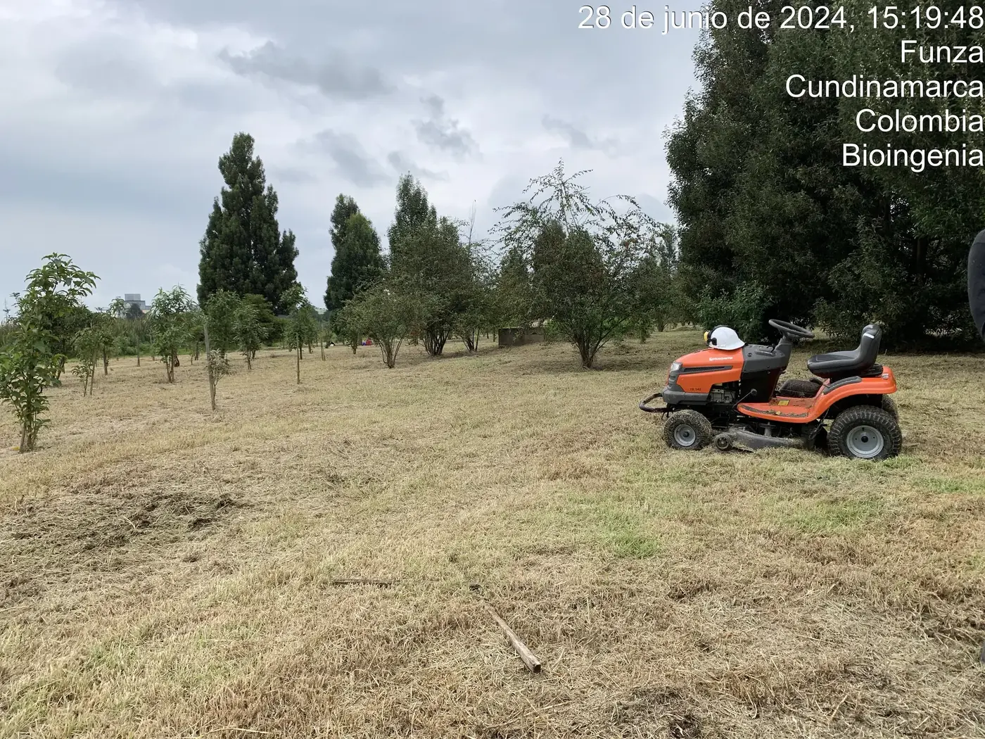Material vegetal reunido para su retiro después del mantenimiento de una zona verde